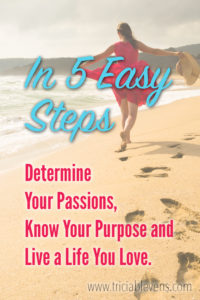 In 5 Easy Steps, Determine Your Passions, Know Your Purpose and Live a Life You Love